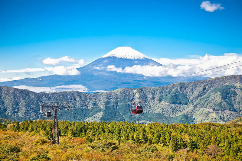 Mount Fuji & Hakone | Owakudani & Hakone Shrine & Lake Ashi Water Torii & Amphibious Ninja Bus | Pirate Ship Experience Day Trip - Practical details before you book