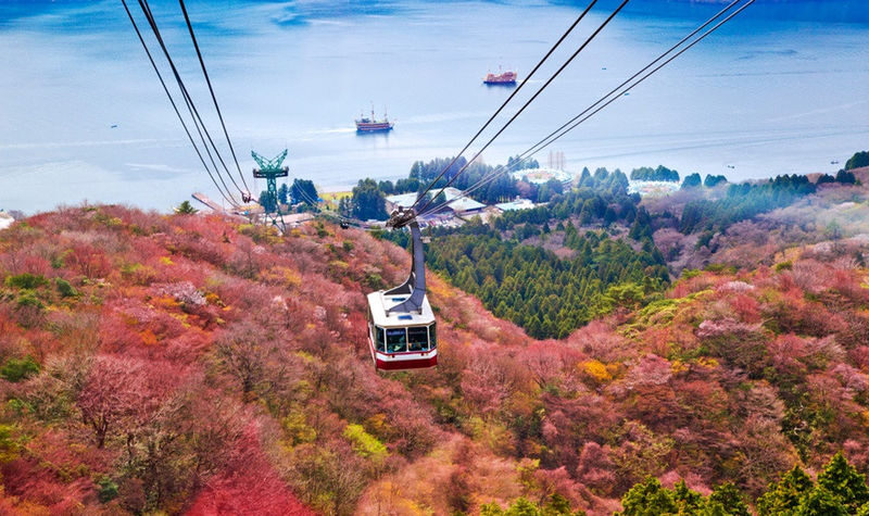 Mount Fuji & Hakone | Owakudani & Hakone Shrine & Lake Ashi Water Torii & Amphibious Ninja Bus | Pirate Ship Experience Day Trip - Should you book this Hakone and Fuji day trip?