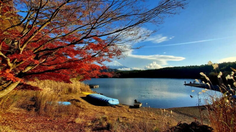 Mount Fuji & Hakone Private Tour with Bullet Train Return - Key Points