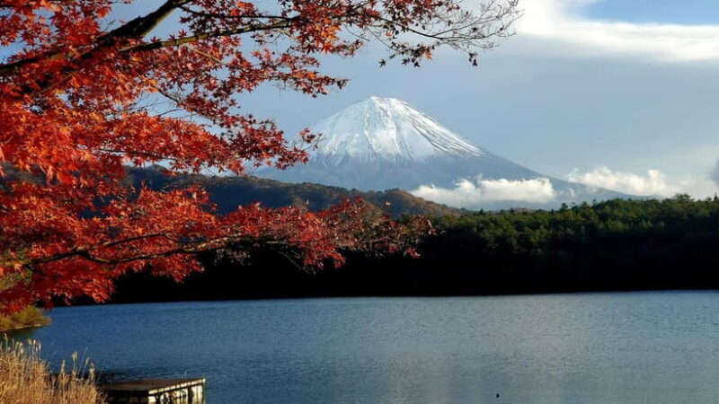 Mount Fuji & Hakone Private Tour with Bullet Train Return - Final Thoughts: Who Should Consider This Tour?