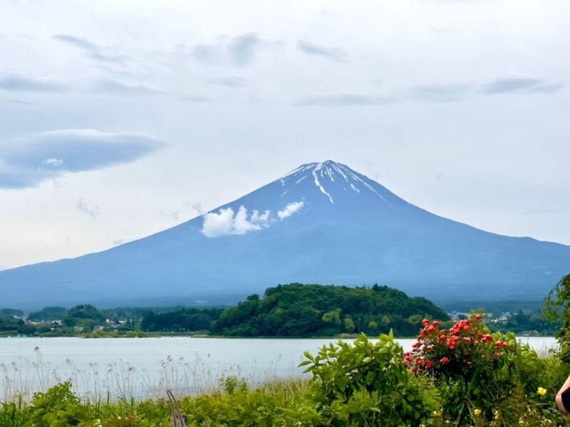 Mount Fuji Hakone with English-speaking Guide - In-Depth Review: A Personal Look at the Mount Fuji Hakone Tour