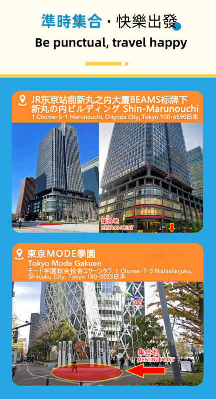 Mount Fuji Healing Tour | Lunch Optional: Arakurayama Sengen Park Pagoda & Oshino Hakkai & Lake Kawaguchiko Oishi Park & Saiko Iyashi no Sato Nenba Day Trip (From Tokyo) - Chureito Pagoda: the famous Fuji frame