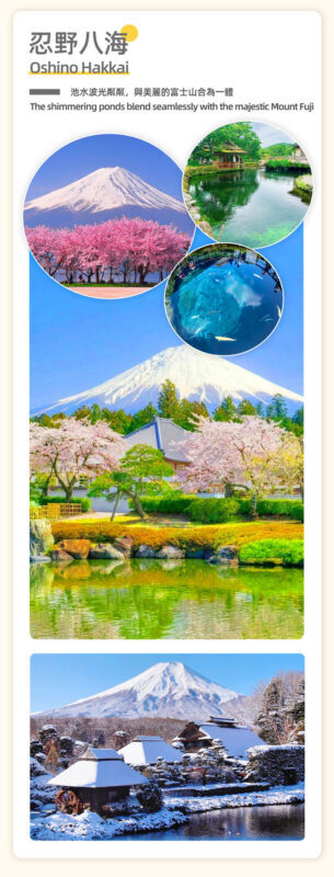 Mount Fuji Healing Tour | Lunch Optional: Arakurayama Sengen Park Pagoda & Oshino Hakkai & Lake Kawaguchiko Oishi Park & Saiko Iyashi no Sato Nenba Day Trip (From Tokyo) - What the price covers, and what it does not