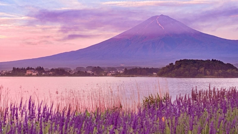 Mount Fuji Hirano Lakeside & Lake Yamanaka Stroll / KABA Amphibious Bus & Lake Kawaguchiko Experience Day Trip - Hikawa Clock Shop and the street toward Fuji