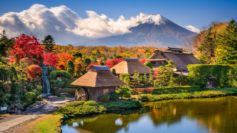 Mount Fuji Hirano Lakeside & Lake Yamanaka Stroll / KABA Amphibious Bus & Lake Kawaguchiko Experience Day Trip - What the reviews suggest about the ride