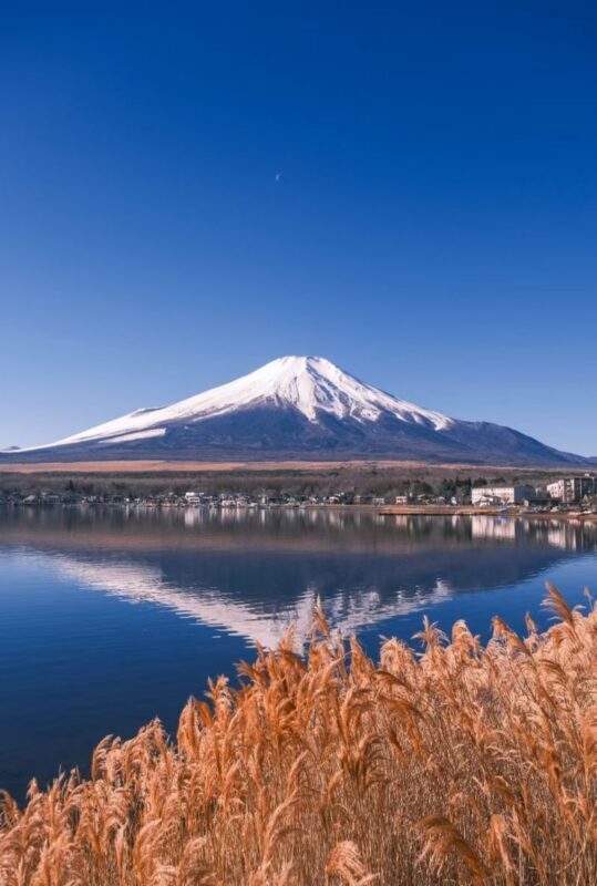 Mount Fuji Instagram-Worthy Day Trip: Small Group Tour/Photogenic Route & Lake Yamanaka Swan Beach + Hirano Beach + Nikawa Clock Shop + Kawaguchiko Station Entrance Kintorii (Departure from Ikebukuro/Ueno) - Swan Beach at Lake Yamanaka