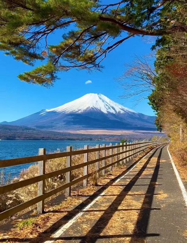 Mount Fuji Instagram-Worthy Day Trip: Small Group Tour/Photogenic Route & Lake Yamanaka Swan Beach + Hirano Beach + Nikawa Clock Shop + Kawaguchiko Station Entrance Kintorii (Departure from Ikebukuro/Ueno) - Reflections at Hirano Beach