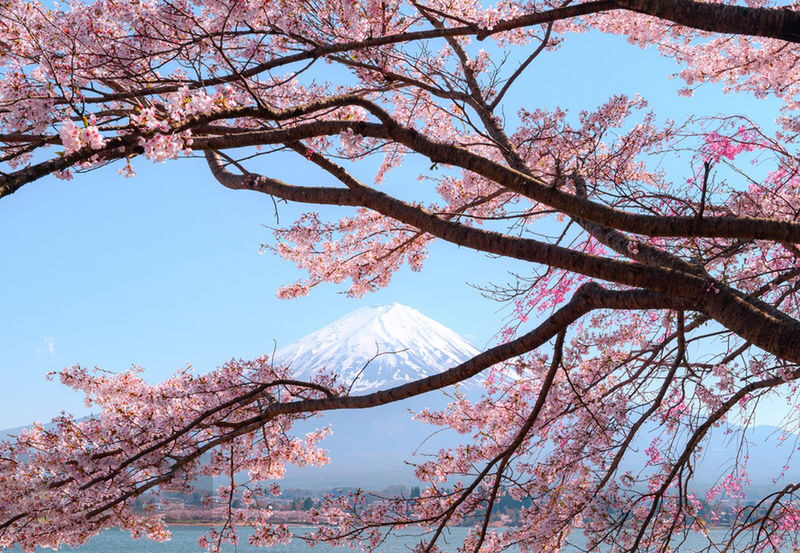 Mount Fuji Internet Celebrity Twin Lakes Check-in] Lake Kawaguchiko & Lake Yamanakako & Oshino Hakkai & Arakurayama Sengen Park & Hinokawashi Clock Shop & Lawson Convenience Store One-Day Tour (Departing from Tokyo) - Chureito Pagoda: the famous view, with stairs attached