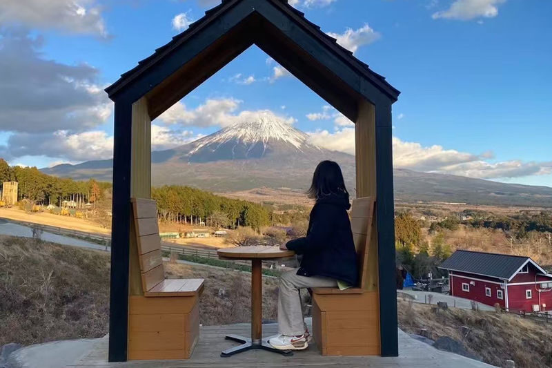 Mount Fuji Internet-Famous Attractions & Makaino Farm & Lake Tanuki & Arakurayama Sengen Park Day Tour (Optional Private Car Charter) - Makaino Farm: Fuji views with something to do