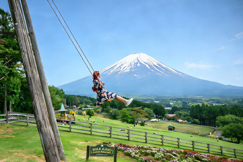 Mount Fuji Internet-Famous Attractions & Makaino Farm & Lake Tanuki & Arakurayama Sengen Park Day Tour (Optional Private Car Charter) - Lake Tanuki: a quieter lakeside pause