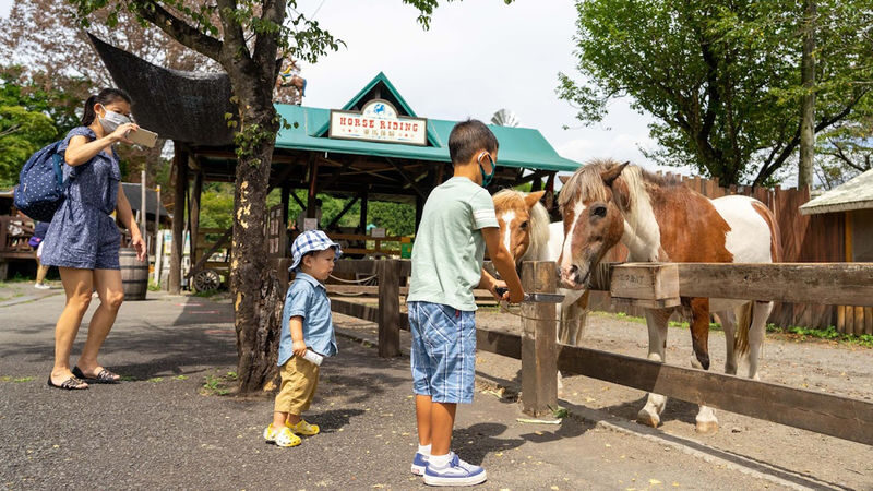 Mount Fuji Internet-Famous Attractions & Makaino Farm & Lake Tanuki & Arakurayama Sengen Park Day Tour (Optional Private Car Charter) - Lawson at Kawaguchiko: a brief photo stop