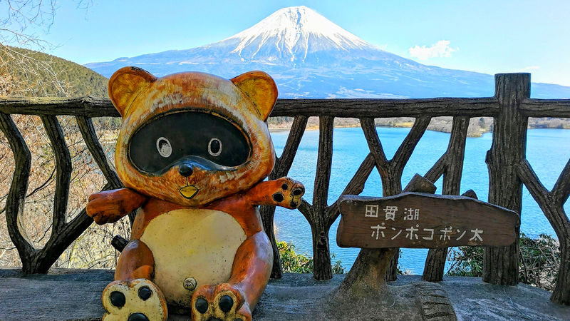 Mount Fuji Internet-Famous Attractions & Makaino Farm & Lake Tanuki & Arakurayama Sengen Park Day Tour (Optional Private Car Charter) - What the driver-guide adds