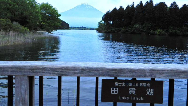 Mount Fuji Internet-Famous Attractions & Makaino Farm & Lake Tanuki & Arakurayama Sengen Park Day Tour (Optional Private Car Charter) - Price, pace and who gets the best value