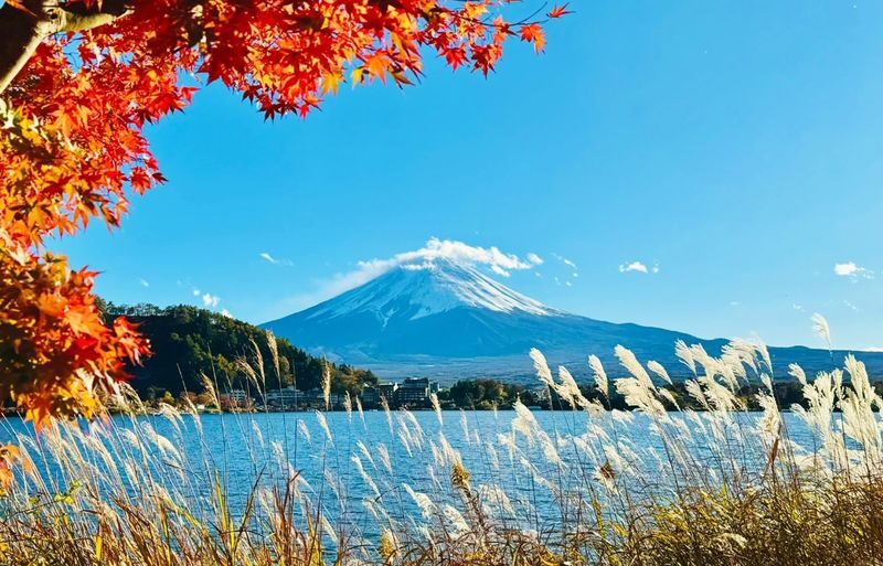 Mount Fuji & Kamakura 2-Day Tour (From Tokyo) Accommodation not included - Two days, two very different sides of the Tokyo region