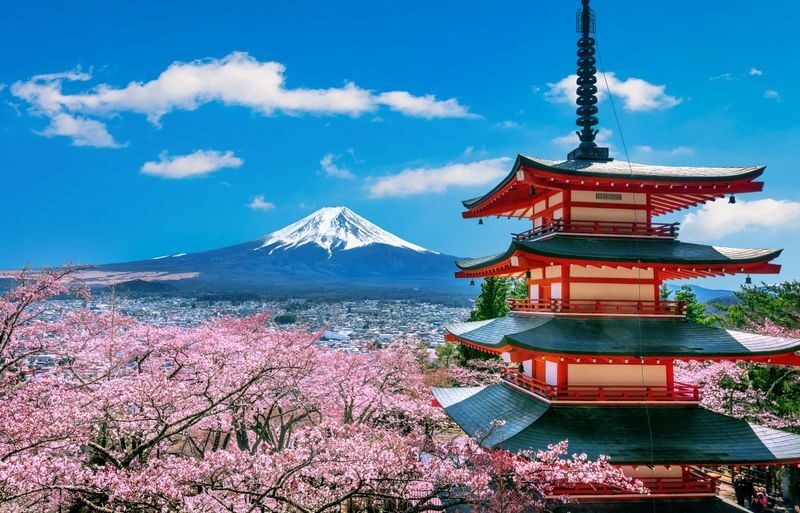 Mount Fuji & Kamakura 2-Day Tour (From Tokyo) Accommodation not included - Guides, group size and the rhythm of the day