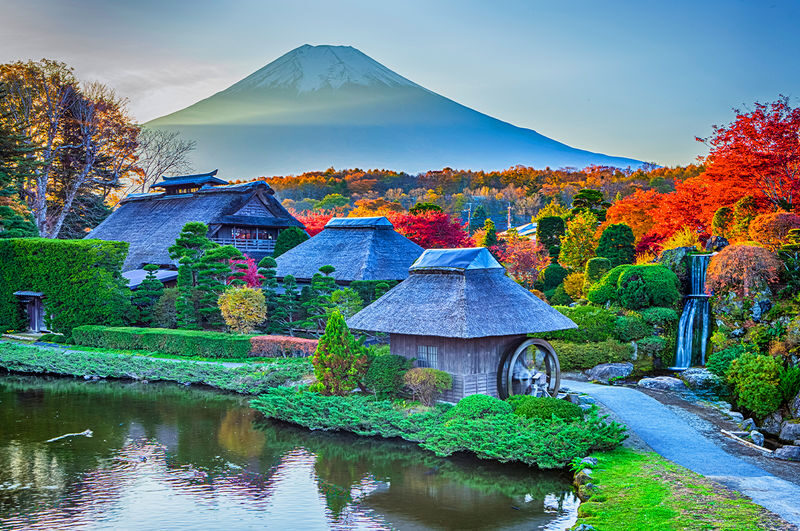 Mount Fuji & Kamakura 2-Day Tour (From Tokyo) Accommodation not included - Who will get the most from this tour