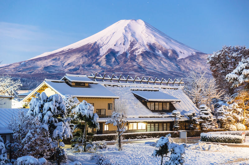 Mount Fuji & Kamakura 2-Day Tour (From Tokyo) Accommodation not included - Should you book it?