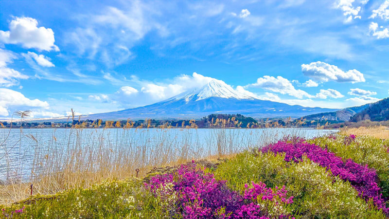Mount Fuji, Kamakura, Lake Ashi & Big Buddha - Should you book it?