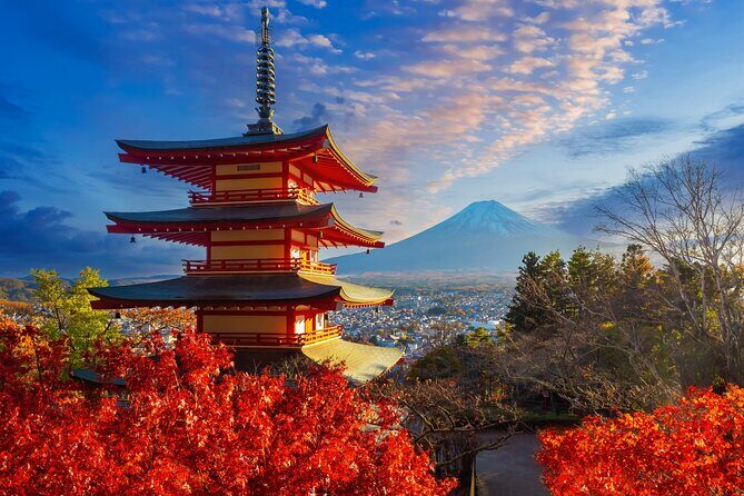 Mount Fuji Kawagoe and Hikawa Shrine Day Trip - Key Points