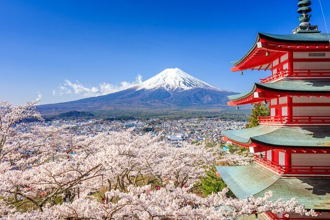 Mount Fuji Kawagoe and Hikawa Shrine Day Trip - Why This Tour Works: The Strengths