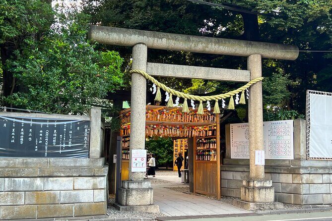 Mount Fuji Kawagoe and Hikawa Shrine Day Trip - Who Would Love This Tour?