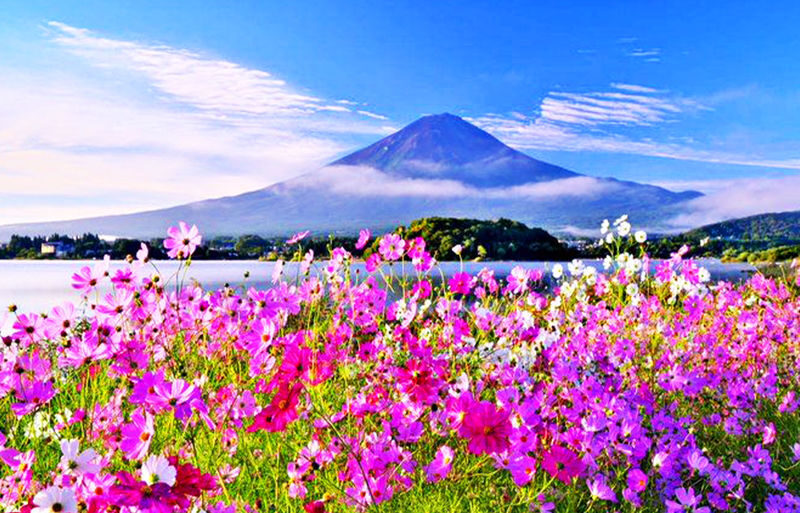 Mount Fuji Kawaguchiko Four Seasons Flower Sea: Arakurayama Sengen Park & Hikawa Clock Shop & Oshino Hakkai & Lawson Photo Spot (Departing from Tokyo) - Oshino Hakkai: clear water and a slower mood