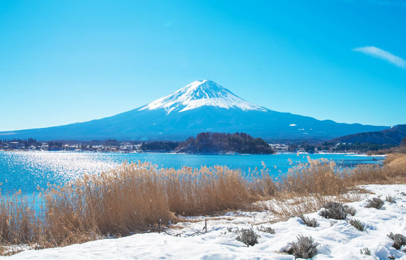 Mount Fuji Kawaguchiko Four Seasons Flower Sea: Arakurayama Sengen Park & Hikawa Clock Shop & Oshino Hakkai & Lawson Photo Spot (Departing from Tokyo) - Lawson Kawaguchiko: a quick, crowded photo stop