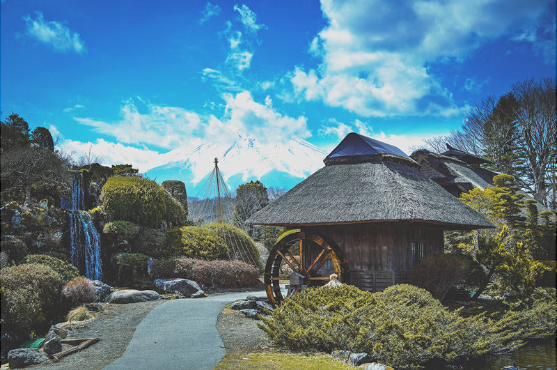 Mount Fuji Kawaguchiko Four Seasons Flower Sea: Arakurayama Sengen Park & Hikawa Clock Shop & Oshino Hakkai & Lawson Photo Spot (Departing from Tokyo) - Should you book this Mount Fuji day trip?