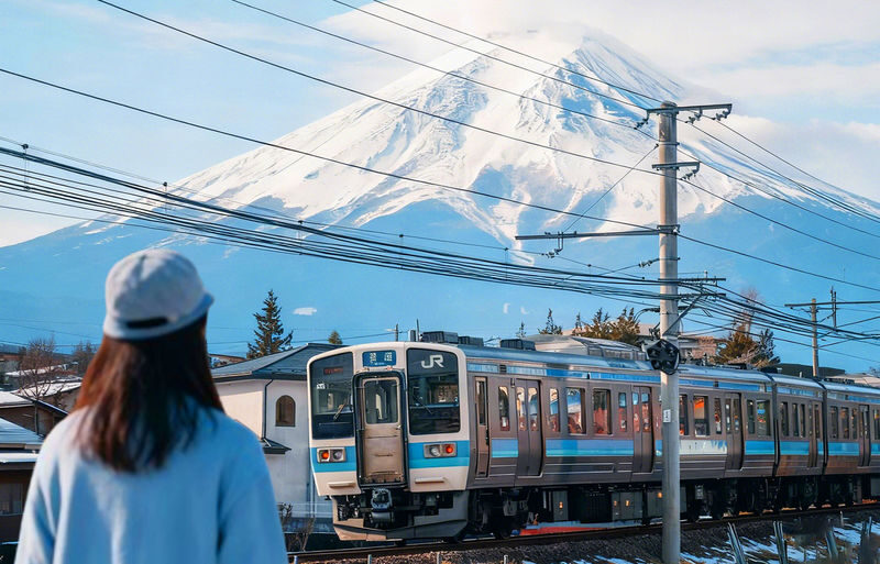 Mount Fuji, Lake Kawaguchi sightseeing train, fruit picking, and Oishi Park day trip - The day in six useful points
