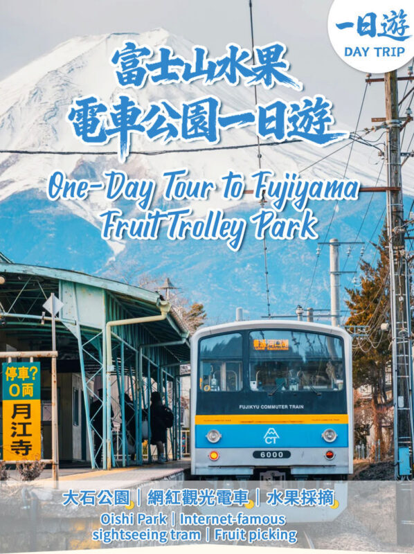 Mount Fuji, Lake Kawaguchi sightseeing train, fruit picking, and Oishi Park day trip - A Tokyo departure, then a long ride west