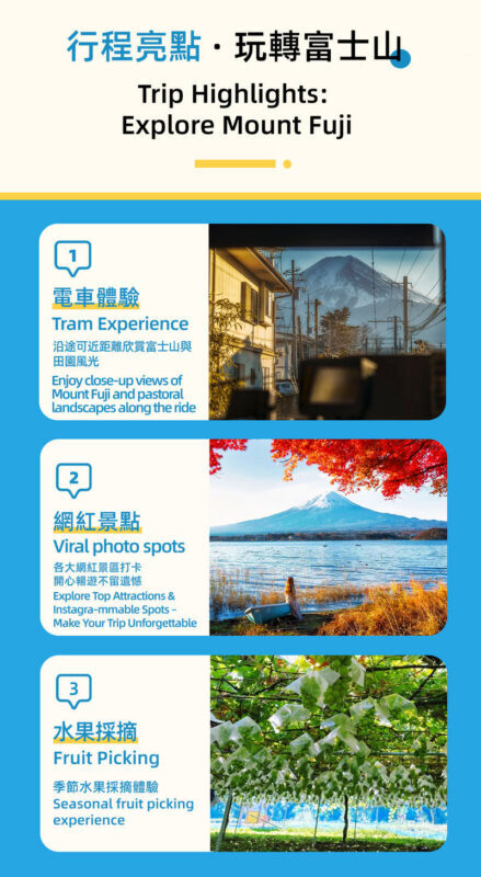 Mount Fuji, Lake Kawaguchi sightseeing train, fruit picking, and Oishi Park day trip - A short train ride through Fuji country