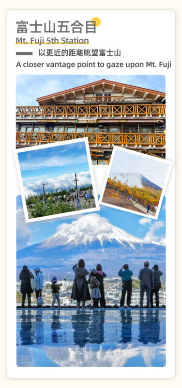 Mount Fuji, Lake Kawaguchi sightseeing train, fruit picking, and Oishi Park day trip - Oishi Park puts flowers beside the lake