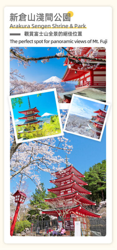 Mount Fuji, Lake Kawaguchi sightseeing train, fruit picking, and Oishi Park day trip - Fruit picking is the day’s hands-on finish