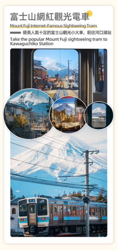 Mount Fuji, Lake Kawaguchi sightseeing train, fruit picking, and Oishi Park day trip - What the guide can add, and what to confirm