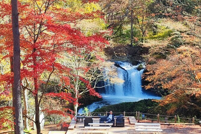 Mount Fuji Lake Yamanaka Discovery Private Tour - Final thoughts: who should book this tour?