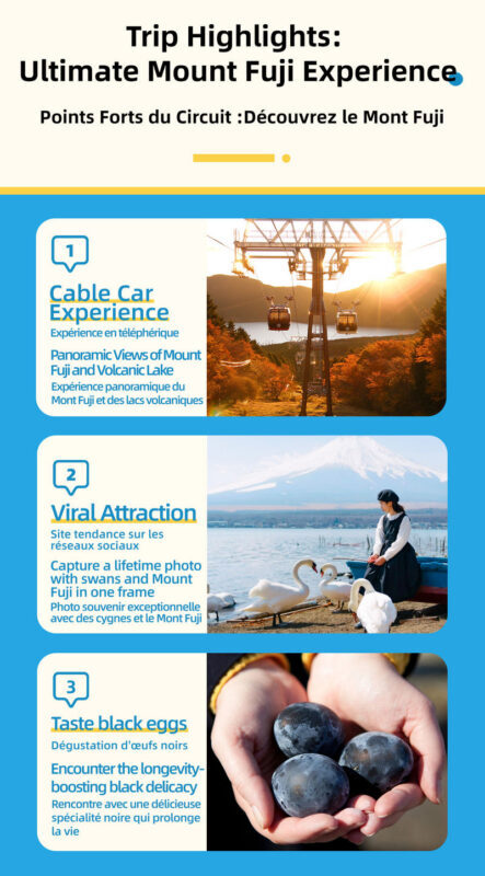 Mount Fuji & Lake Yamanaka & Hakone Owakudani tour (from Tokyo) - The ropeway ride and Owakudani’s volcanic ground