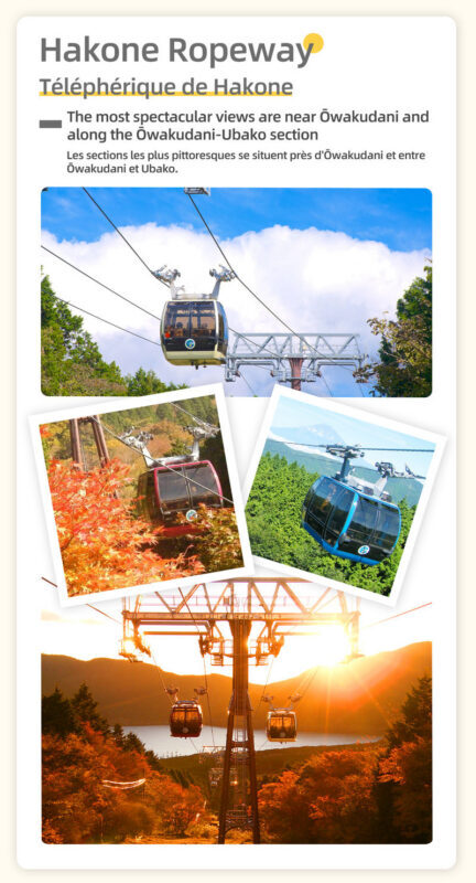 Mount Fuji & Lake Yamanaka & Hakone Owakudani tour (from Tokyo) - What the price includes, and what it does not