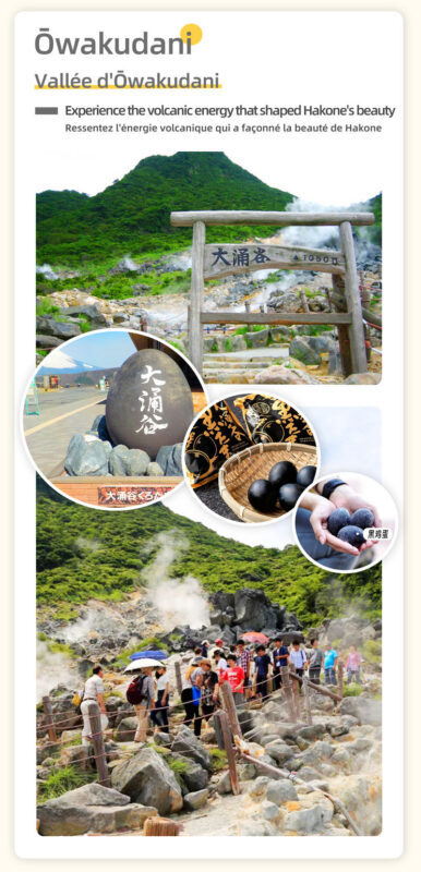 Mount Fuji & Lake Yamanaka & Hakone Owakudani tour (from Tokyo) - Should you book this Fuji and Hakone day tour?