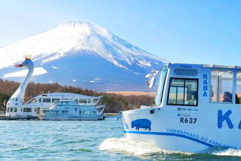 Mount Fuji Lake Yamanaka KABA Amphibious Bus/Swan Boat & Hirano Beach & Lake Kawaguchi Oishi Park & Oshino Hakkai Day Trip | Departure from Tokyo - Key points before you book