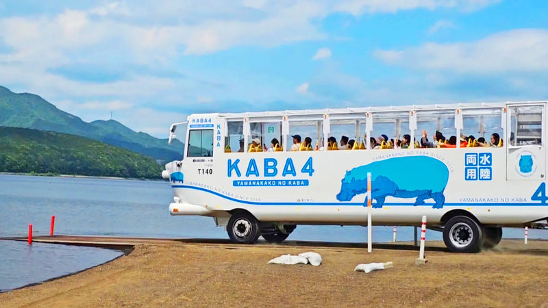 Mount Fuji Lake Yamanaka KABA Amphibious Bus/Swan Boat & Hirano Beach & Lake Kawaguchi Oishi Park & Oshino Hakkai Day Trip | Departure from Tokyo - Lake Yamanaka: choose your own hour and 40 minutes