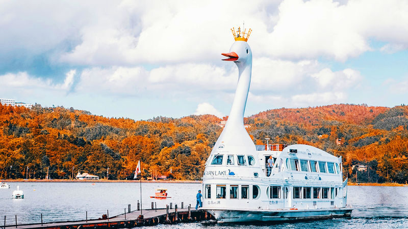 Mount Fuji Lake Yamanaka KABA Amphibious Bus/Swan Boat & Hirano Beach & Lake Kawaguchi Oishi Park & Oshino Hakkai Day Trip | Departure from Tokyo - Oishi Park: flowers at Lake Kawaguchi