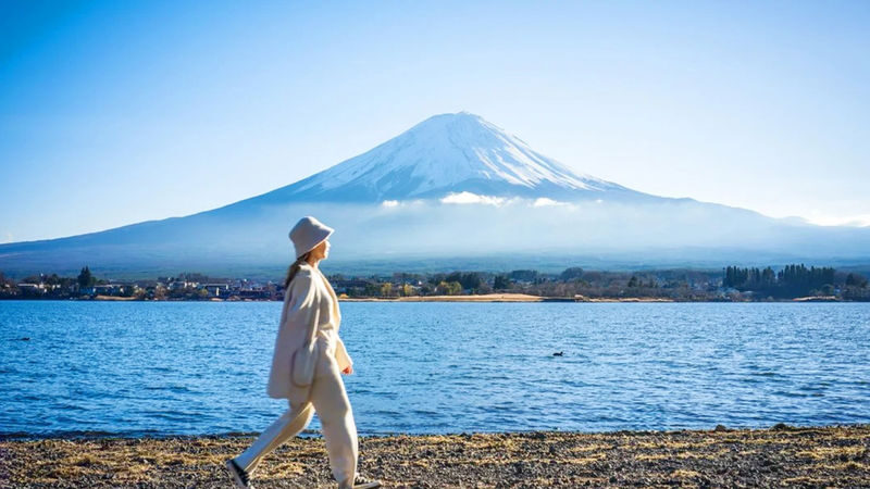 Mount Fuji Lake Yamanaka KABA Amphibious Bus/Swan Boat & Hirano Beach & Lake Kawaguchi Oishi Park & Oshino Hakkai Day Trip | Departure from Tokyo - Guides, group travel and practical details