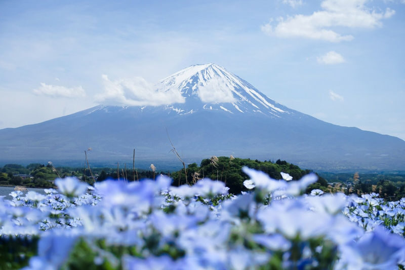Mount Fuji Lake Yamanaka Small Group Day Tour (Driver-Guide Service, including Hotel Pick-up and Drop-off) - Should you book it?