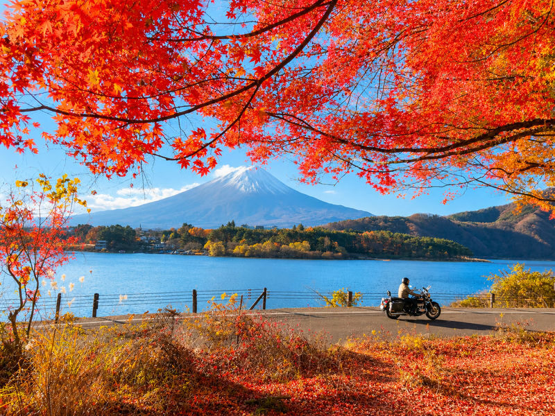 Mount Fuji Lawson Check-in Twin Lakes Day Tour-Departing from Tokyo: Lake Yamanaka & Lake Kawaguchiko Autumn Leaves Corridor & Narusawa Ice Cave & Handicraft Experience (Lunch upgradeable to Kobe beef, etc.) - Lake Kawaguchi: the main Fuji-lakes stop