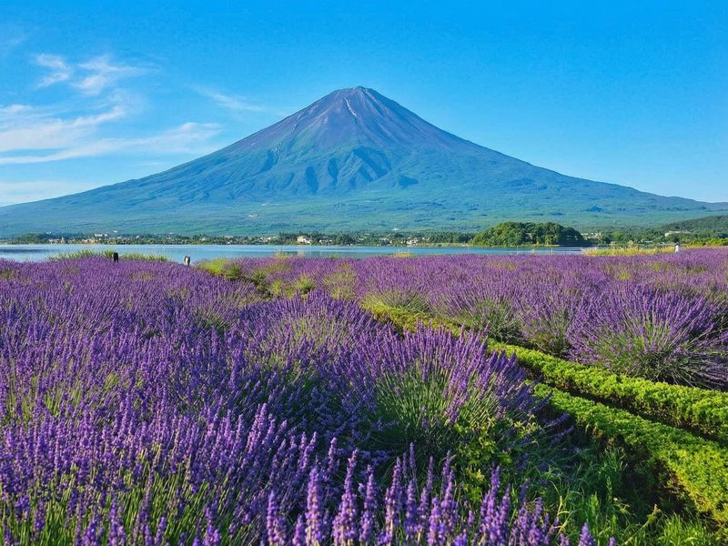 Mount Fuji Magnificent Scenery Exploration Day Tour: Arakurayama Sengen Park & Kawaguchiko Oishi Park & Oshino Hakkai & INS Famous Lawson & Hikawa Clock Shop (Departing from Tokyo) - Lawson: a quick, modern Fuji photo stop