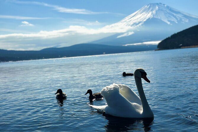 Mount Fuji (Mt. fuji) private tour by car with pickup from Tokyo - Key Points