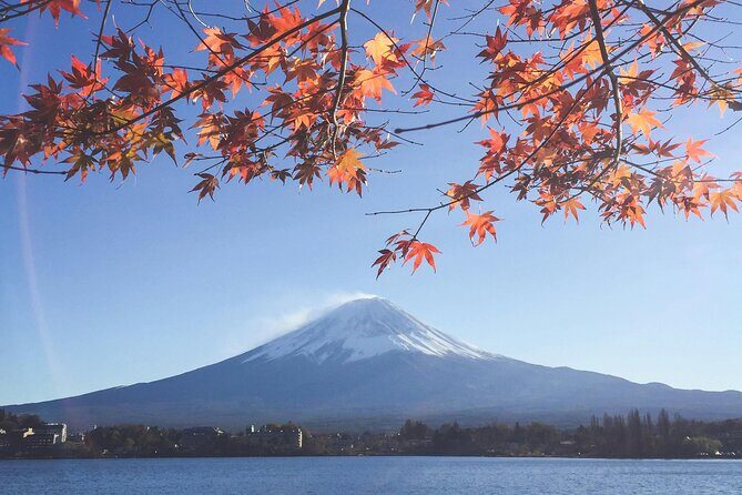 Mount Fuji (Mt. fuji) private tour by car with pickup from Tokyo - Who Is This Tour Best For?