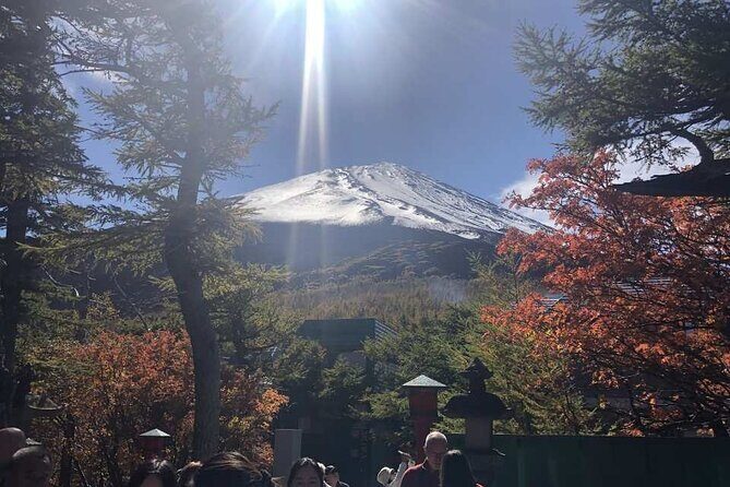 Mount Fuji, Oshino Hakkai and Park Sightseeing Day Tour - Experience the Majesty of Mount Fuji in a Day