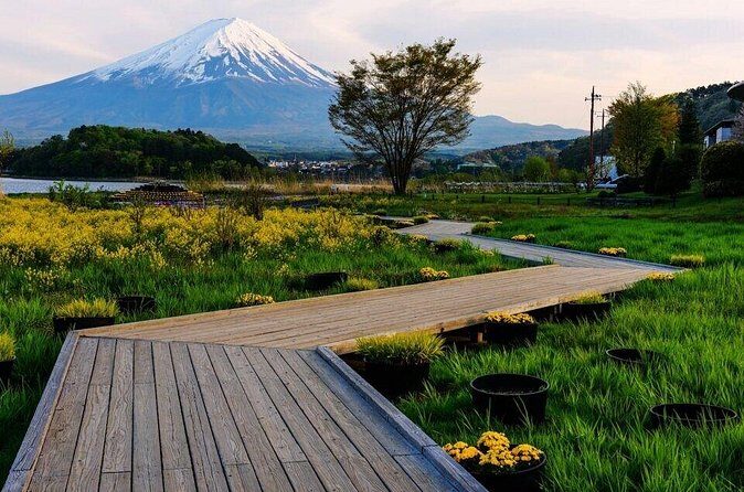 Mount Fuji, Oshino Hakkai and Park Sightseeing Day Tour - Who Will Love This Tour?