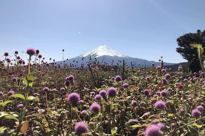 Mount Fuji, Oshino Hakkai and Park Sightseeing Day Tour - Final Thoughts